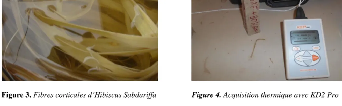 Figure 3. Fibres corticales d’Hibiscus Sabdariffa                  Figure 4. Acquisition thermique avec KD2 Pro 