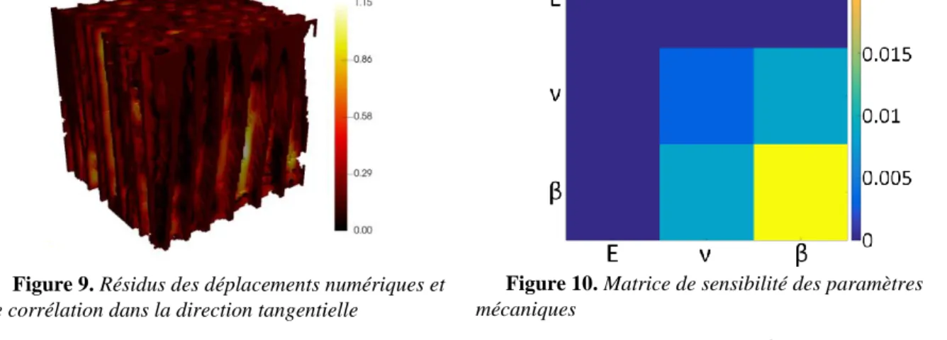 Figure 9. Résidus des déplacements numériques et  de corrélation dans la direction tangentielle 