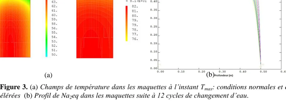 Figure 3. (a) Champs de température dans les maquettes à l’instant T max : conditions normales et conditions  accélérées  (b) Profil de Na 2 eq dans les maquettes suite à 12 cycles de changement d’eau