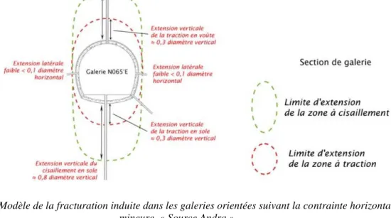 Figure 5. Modèle de la fracturation induite dans les galeries orientées suivant la contrainte horizontale  mineure