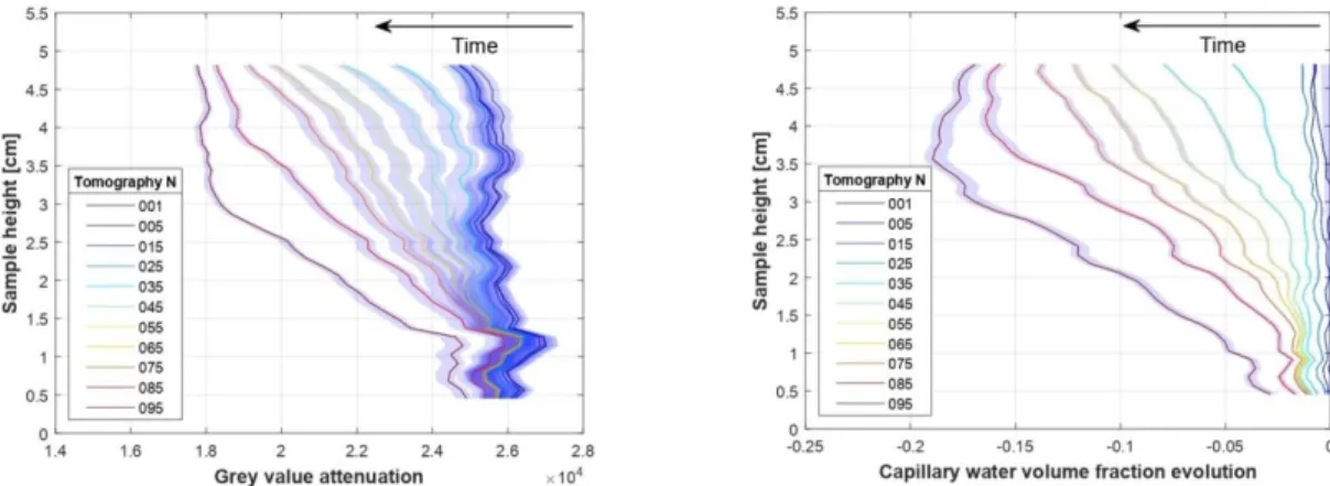 FIGURE 3.  (Left) Gray value attenuation gradient evolution along the sample height, (Right) Capillary  water volume fraction evolution along the sample height