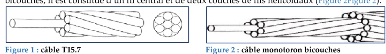 Figure 1 : câble T15.7 Figure 2 : câble monotoron bicouches 