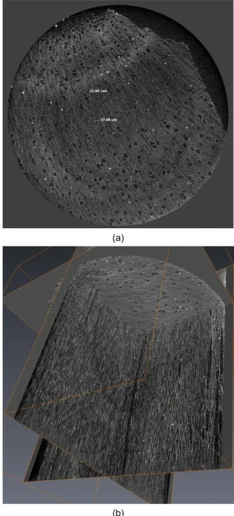 Fig. 6 shows cumulative pore volume and the pore size  distribution  curve  of  hemp  shiv  with  various  sample  mass