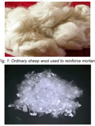 Fig. 1: Ordinary sheep wool used to reinforce mortars. 