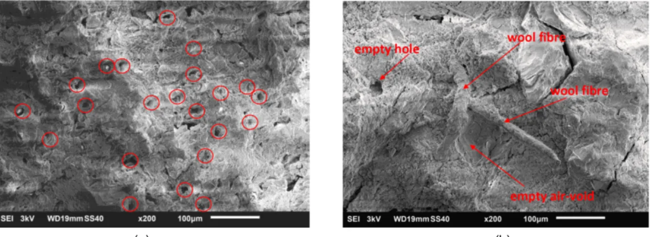 Fig. 7: The SEM microphotographs of the specimen W (stored in water) with visible empty holes where used to be  a wool fiber, scale bar = 100 µm