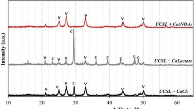 Figure 2: Representative growth profile for S. pasteurii  (DSMZ 33) averaged from triplicates of viable plate  counts (cell concentration vs