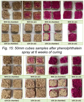 Fig. 16: 50mm cubes samples after phenolphthalein  spray at 9 weeks of curing 