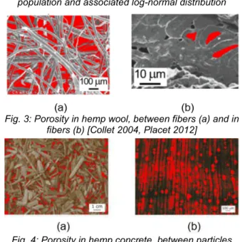Fig. 2: Particle size distribution of hemp shiv,  population and associated log-normal distribution 