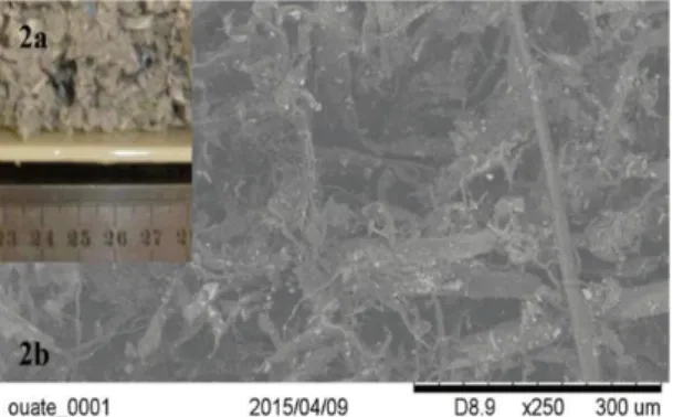 Fig. 1: Wood fiber: 1a) Wood fiber panel 1b) Carded  fibers 1c) SEM view. 