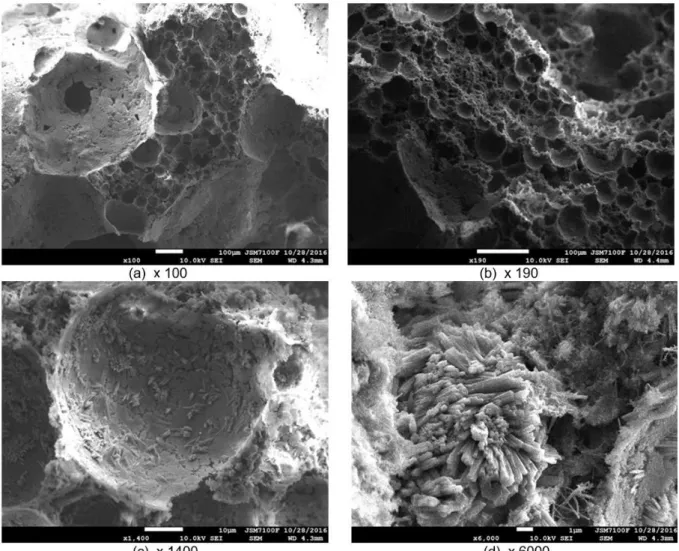 Fig. 26: View at SEM of inner structure of foams (a, b). Crystallisation of carbonate calcium on bubble surface (c)