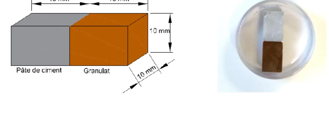 Figure 1. Configuration géométrique de l’échantillon (a) et la capsule qui a servi à la réalisation de la  section polie (b) 