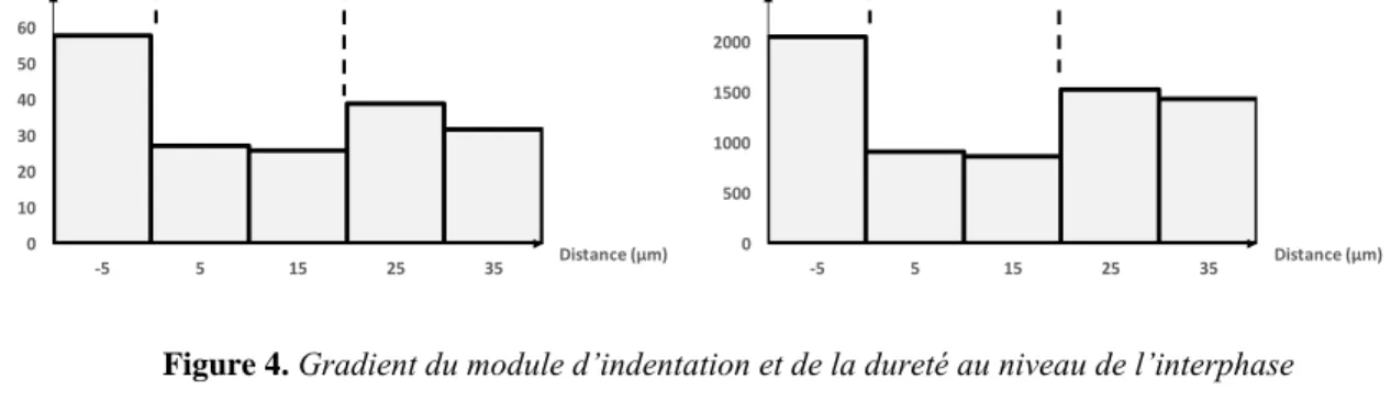 Figure 4. Gradient du module d’indentation et de la dureté au niveau de l’interphase 