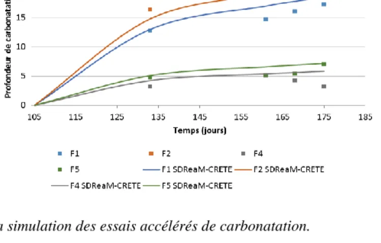Figure 5. Résultats de la simulation des essais accélérés de carbonatation. 