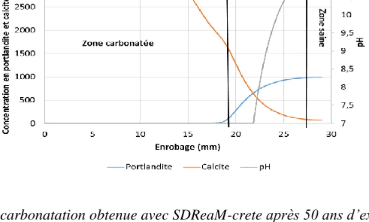 Figure 6. Profondeur de carbonatation obtenue avec SDReaM-crete après 50 ans d’exposition