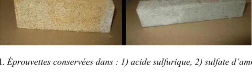 Figure 1. Éprouvettes conservées dans : 1) acide sulfurique, 2) sulfate d’ammonium. 