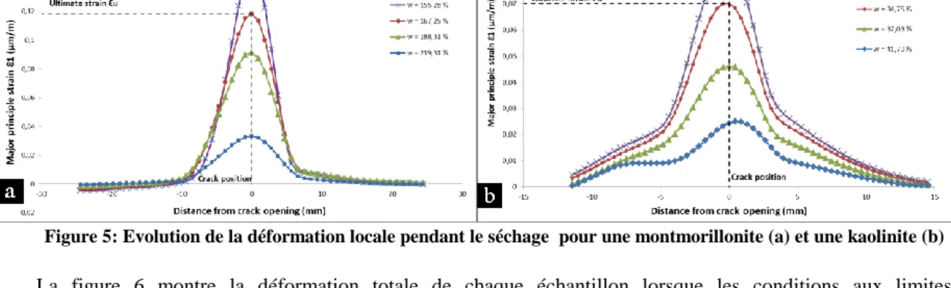 Figure 5: Evolution de la déformation locale pendant le séchage  pour une montmorillonite (a) et une kaolinite (b)  La  figure  6  montre  la  déformation  totale  de  chaque  échantillon  lorsque  les  conditions  aux  limites  n’interviennent  pas  (cas 