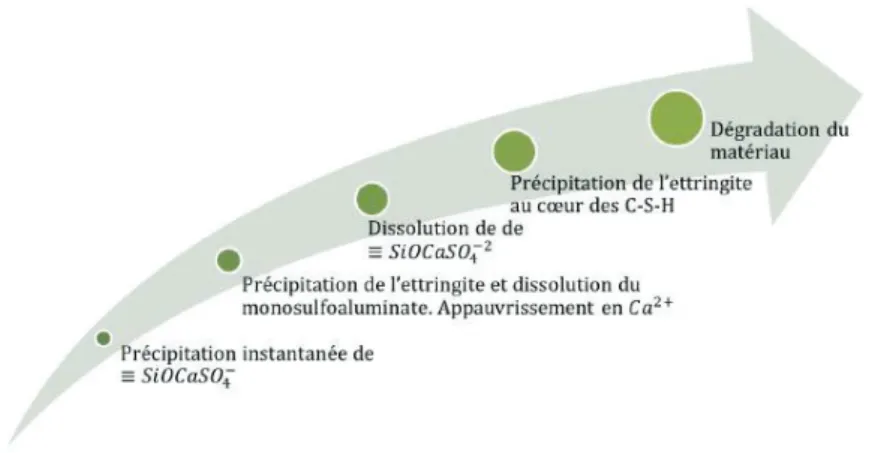 Figure 2. Proposition de scénario de dégradation des matériaux cimentaires exposés aux attaques  sulfatiques externes.