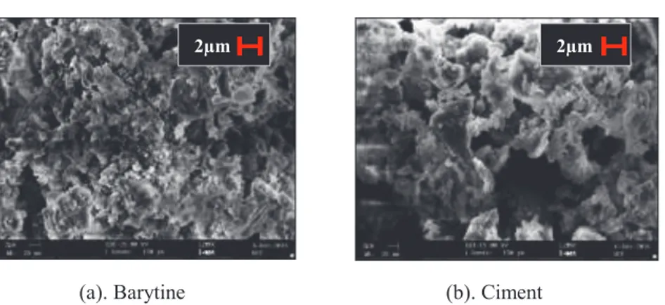 Figure 1. Observations microscopiques de: (a) Barytine and (b) Ciment