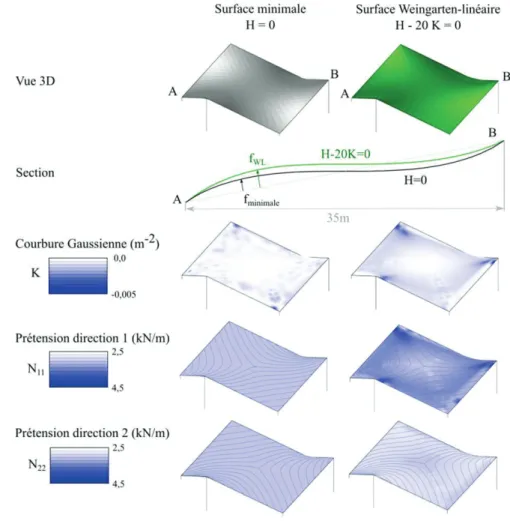 Figure 9. Comparaison de forme et de prétension entre une surface minimale et une surface WL sur un même  contour  