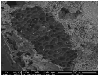 Fig. 9: Mechanical and thermal characteristics of mortar  as a function of cork grainsize 