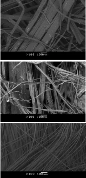 Fig. 1: Morphology of hemp, flax and PP fibres under  Scanning Electron Microscope  