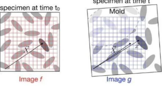 Figure 105: Digital image correlation between initial  image f (time 