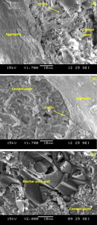 Fig. 3. Residual compressive strength and loss in  strength in control and biochar-concrete composites 