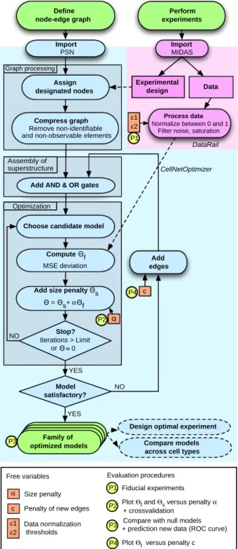 Figure 2 Workflow for creating and calibrating Boolean models using CNO software. Signed directed graphs are imported into CNO (a set of software routines implemented in MATLAB) and data are imported into DataRail  (Saez-Rodriguez et al, 2008)