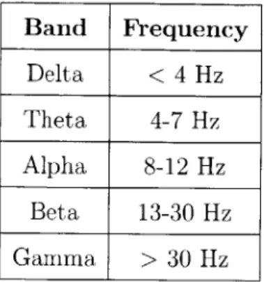 Table  2.1:  Rhythmic  Activity  Frequency  Bands  of EEG