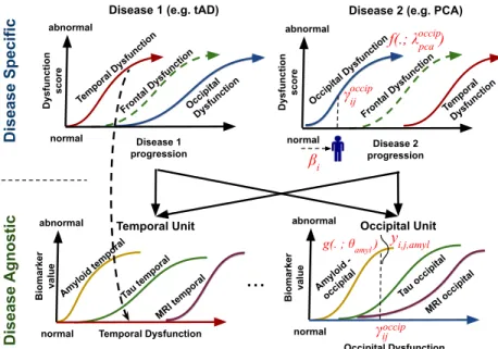 Fig. 1: Diagram of the proposed DKT framework. We assume that each disease can be modelled as the evolution of abstract dysfunction scores (Y-axis, top row), each one related to different brain regions