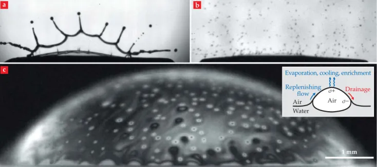 FIGURE 2. TWO BUBBLES BURST ON A WATERY SURFACE, one  (a) after 3 seconds and the other  (b) after 55 seconds