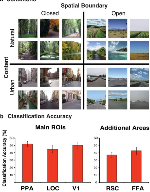 Figure 4aillustrates two possible orthog- orthog-onal patterns of errors. First, if a particular brain region is sensitive to the spatial boundaries of a scene, it should confuse  im-ages with the same global structure,  regard-less of the content or objec