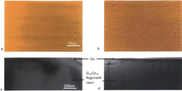 Figure  2-2 Effect  of initial dislocation density  on  hillock density for S5.  The hillock  density in  (a)  and  the XTEM  of the low pt  SisoGeso regrowth  layer  are  representative  of all  the  samples  studied