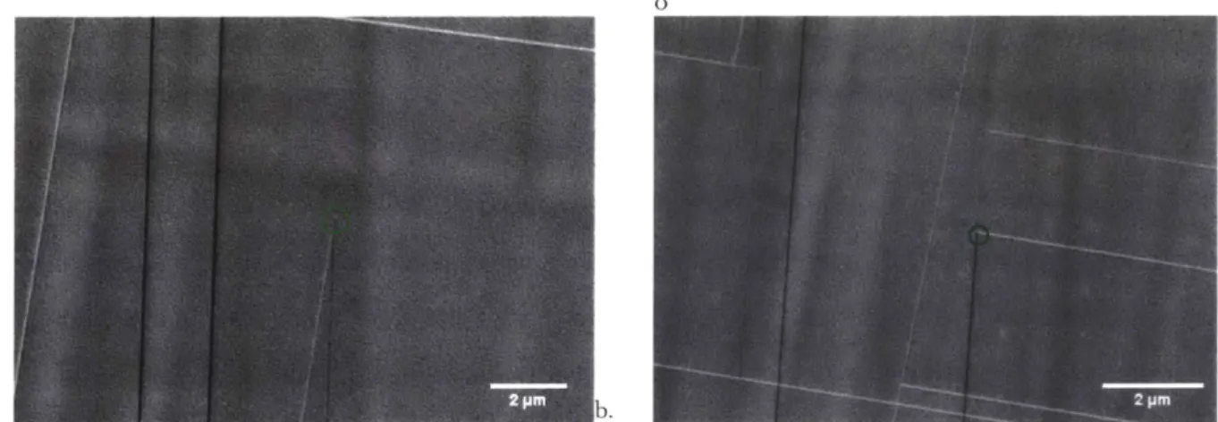 Figure  2-5  ECCI  images  of sample  S4.  (a)  shows  a "y-center"  defect  and (b)  shows  a  change in contrast  at in intersection of orthogonal  dislocations  indicating that edge  dislocations  are  formed  by cross slip.