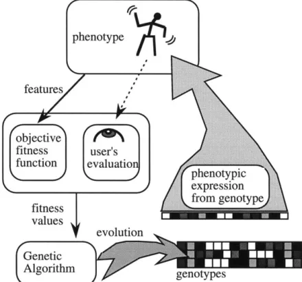 Figure  4  Schematic  illustrating  a  basic  concept  in  genetic  algorithms-that  there are  two  components  to  a  representation:  the  phenotype  and  the  genotype