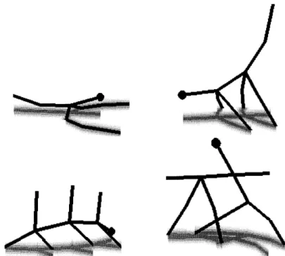 Figure  10  Four  examples  of  the  Vertebrates,  the  most  complex  of  the  articulated figure  species,  demonstrating  morphological  variation.