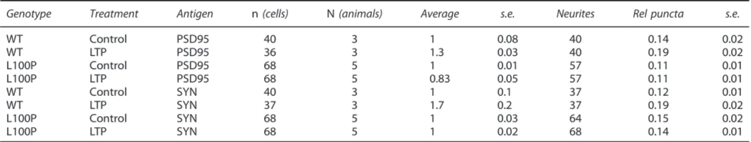 Table 2. Immunostaining and puncta analysis of LTP-treated and control cultures