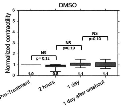 Fig.  27  The  DMSO  control tissues show no  significant  change  in active muscle  contractility.