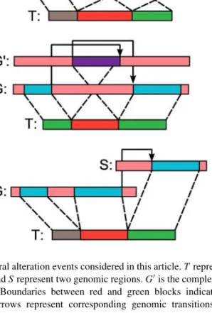 Fig. 1. Structural alteration events considered in this article. T represent the transcript, G and S represent two genomic regions