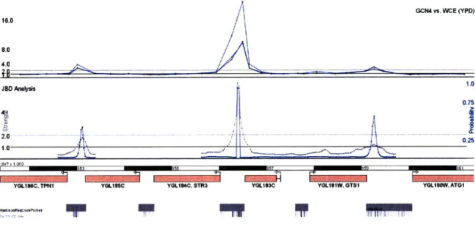 Figure  2-5:  A  screenshot  from  the  GSE  Visualizer.  The  top  track  represents  'raw' high-resolution  ChIP-Chip  data  in  yeast,  and  the  bottom  track  shows  two  lines  for the  two  output  variables  of  the  JBD  algorithm