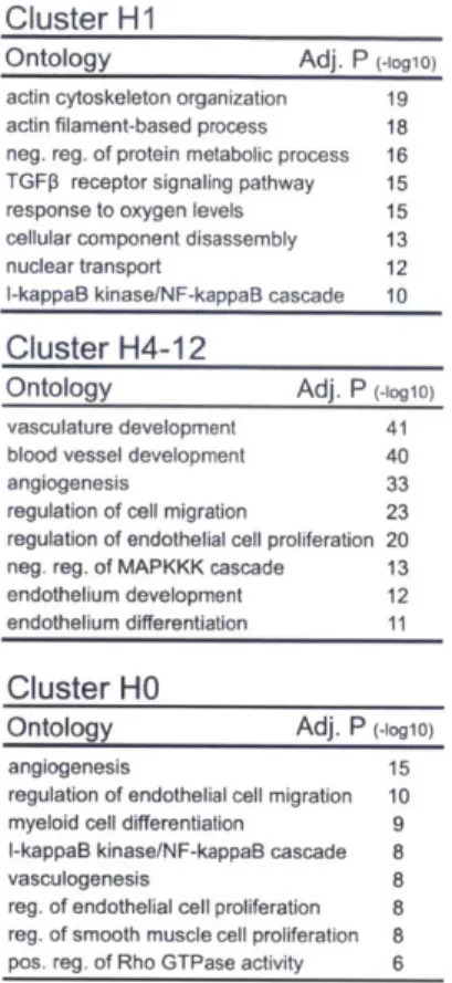 Figure  2-11:  Using  GREAT[ 166],  each  set  of H3K27ac  variant  sites  per cluster were  ana- ana-lyzed  for  functional  Gene  Ontology  (GO)  enrichments  based on  nearby genes
