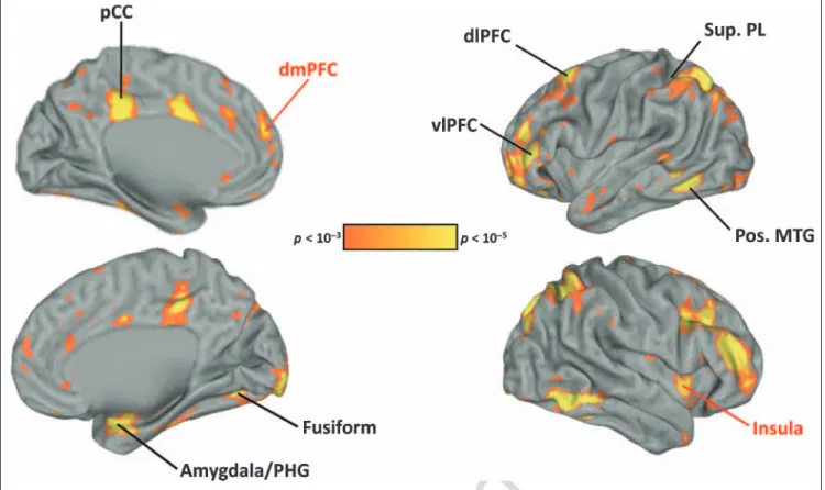 Figure 1. Regions showing a main effect of trait (character/appearance) in the omnibus ANOVA at p &lt; .05 (FDR-corrected)