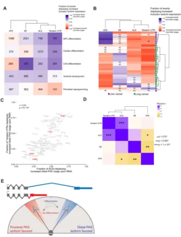 Figure 5. ALE and tandem UTR isoforms are generally coordinately regulated