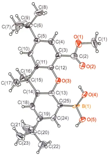 Figure 3.2.  Thermal  ellipsoid plot of 5-(boronic  acid)-2,7-di-tert-butyl-9,9-dimethyl- acid)-2,7-di-tert-butyl-9,9-dimethyl-9H-xanthene-4-carboxylic  acid methyl  ester (3)
