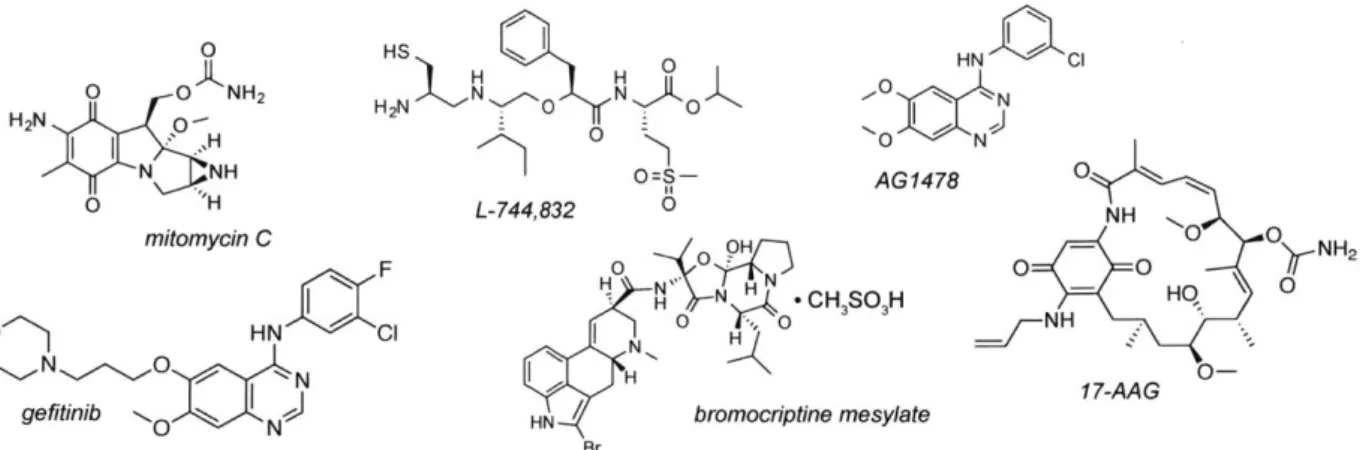 Figure  2.5:  Structures of validated compounds  that selectively modulate  collagen-I secretion.