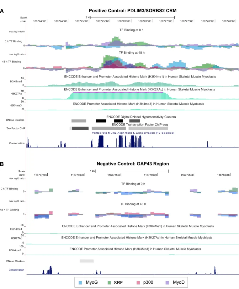 Fig. 1. ChIP-chip TF binding distinguishes positive and negative control regions. All data shown are log 10 ratios of IP to Input DNA signal and are normalized to the maximum ratio for each TF dataset