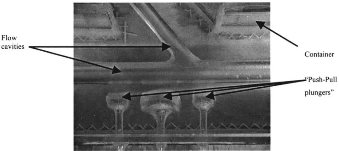 Figure  2-1:  Flow model.  Chamber, flow  cavity  and pneumatic  &#34;pusher-pullers&#34;  are indicated