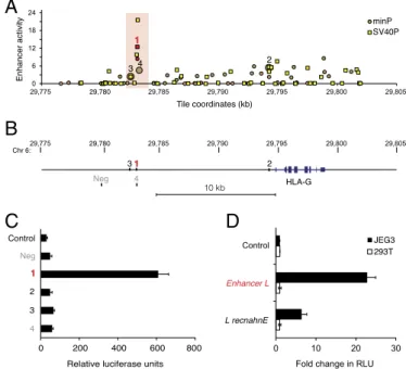 Fig. 1. Enhancer L is a trophoblast-specific enhancer upstream of HLA-G. (A) Massively parallel reporter assay (MPRA) covering the HLA-G locus