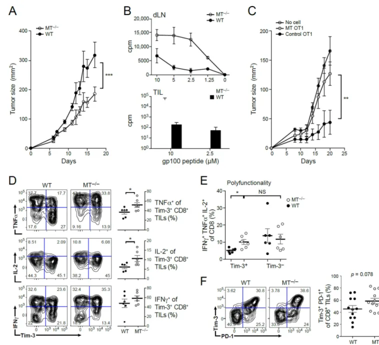 Figure 2. Metallothionein deficiency improves anti-tumor immunity and reverses T cell  dysfunction