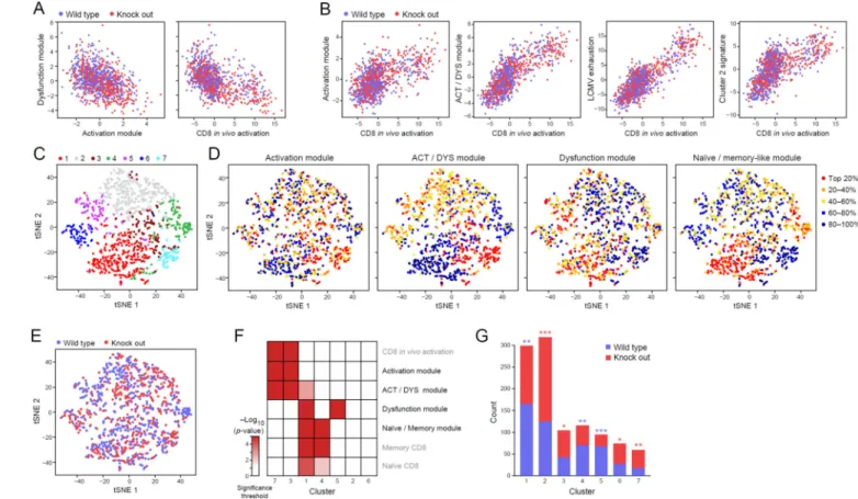 Figure 5. The dysfunction and activation transcriptional programs are negatively correlated at  the single-cell level